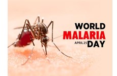 4.25世界防治疟疾日：越南46个省市消除了疟疾
