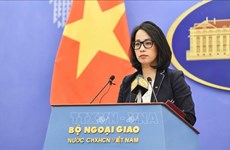 越南再次阐明关于保障和促进人权的一贯政策   