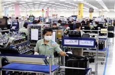 2023年越南增长最快企业500强榜单出炉