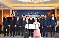 越南隆安和同奈两省在韩国开展投资促进活动