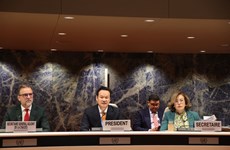 越南主持联合国投资、企业和发展委员会第十四届会议