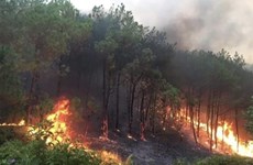政府总理要求在全国范围内大力实施森林火灾预防扑救措施