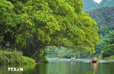 越南接待游客量保持良好增长势头  旅游收入达271万亿越南盾