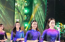2019年第6次胡志明市奥黛节：奥黛时装秀（组图）