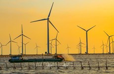 越南海上风电发展的重要支柱