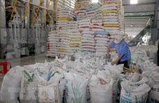 越南承诺遵循大米价格市场规律