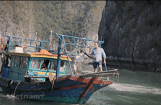 越南旅游业有机会吸引大量国际游客