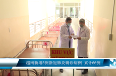 越南新增5例新冠肺炎确诊病例 累计66例