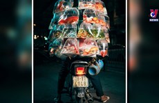 英国摄影师拍摄的越南街上卖观赏鱼的小贩在美国获奖