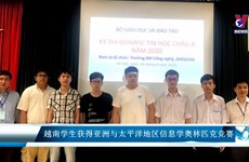 越南学生获得亚洲与太平洋地区信息学奥林匹克竞赛