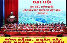 组图：2020年第二届越南各少数民族代表大会隆重开幕