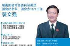 图表新闻：裴文强被任命为越南国会秘书长、国会办公厅主任 
