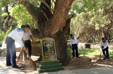 组图：长沙群岛上主权界碑——遗产树