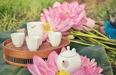 组图：五月初夏莲花盛开   边赏花边品茶享受宁静生活