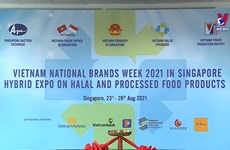 2021年越南国家品牌周亮相新加坡   