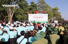 致力打造绿色越南的“森林之梦”活动正式启动 