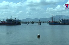 广南省升级改造安和锚地  为渔船提供安全避风场所