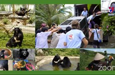 越南寻找有关熊类保护资料片制作人  为保护自然发声助力