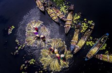 组图：隆安省河流四季美景