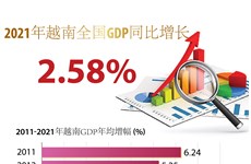 图表新闻：2021年越南全国GDP同比增长2.58%