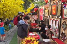 2022壬寅虎年迎春活动在胡志明市热闹开场