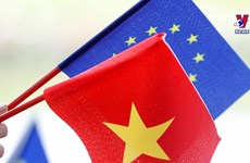 充分利用EVFTA 协定  越南致力打造企业品牌