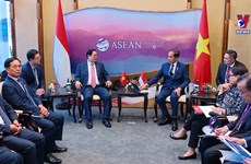 越南政府总理范明政同印尼总统佐科·维多多举行会晤