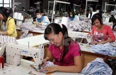 丹麦帮助越南企业发展