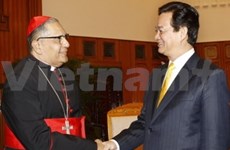 加强越南和梵蒂冈的关系