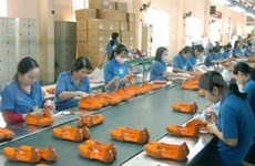 欧洲委员会决定停止对越南皮鞋征收反倾销税是符合自由贸易的大趋势