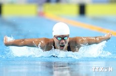 2014年夏季青年奥运会：越南游泳女将阮氏映圆夺一金一银