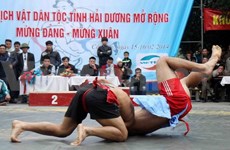 第16次越南全国青少年传统摔跤锦标赛：军队队荣登榜首