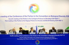 东盟承诺加强生物多样性保护工作