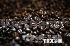老挝咖啡节推广本国咖啡品牌