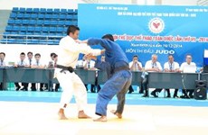 2014年第七届越南全国体育大会：柔道比赛正式开赛