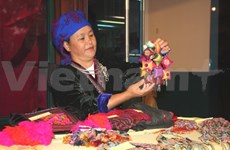 越南蒙族妇女努力保护传统手工艺