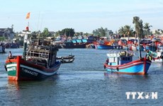 渔港基础设施投资：渔业可持续发展的动力