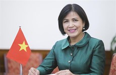 越南高度重视联合国贸发会议第15届大会的作用