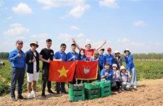 越南大学生积极参加俄罗斯莫斯科共产主义星期六义务劳动