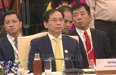 越南外长裴青山出席东盟-印度特别外长会议