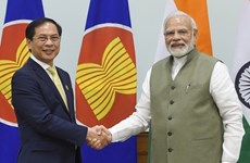 越南与印度一致同意推动双边合作关系务实高效发展