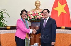 越南外长裴青山会见联合国开发计划署亚太区域局主任坎尼