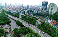 越南各省市着力增加城市绿化面积