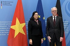 越南—德国经济合作混合委员会第二次会议在德国举行