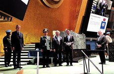越南常驻联合国代表团举行联合国维和人员国际日75周年纪念活动 