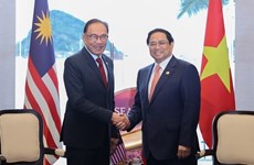 马来西亚驻越南大使：马来西亚与越南双边合作前景广阔