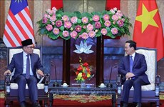 越南国家主席武文赏会见马来西亚总理安瓦尔·易卜拉欣