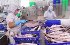 今年前两个月中国是越南查鱼最大出口国