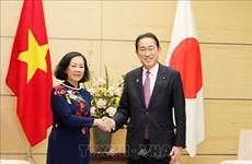 越共中央书记处常务书记张氏梅与日本高层领导人会晤