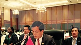 越南副外长何金玉出席东亚－拉美合作论坛外长会议
